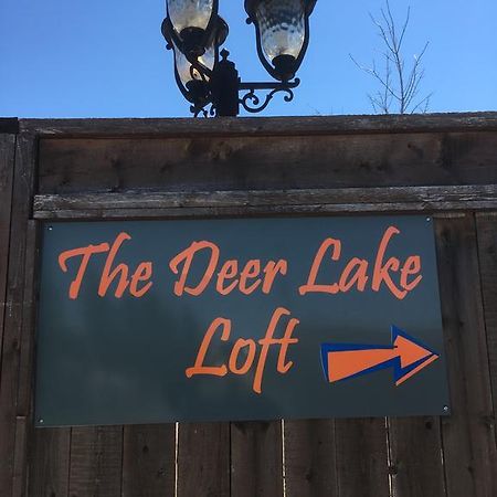 The Deer Lake Loft Dış mekan fotoğraf
